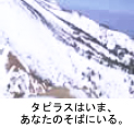 タピラスはいま、あなたのそばにいる。