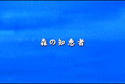 森の知恵者